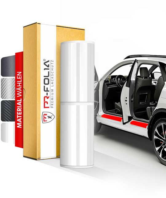 Für Citroen e-C3 Aircross   (ab Bj. 06/2024) passende Einstiegsleisten Lackschutzfolie